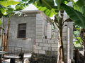 Filename=05-DSCN0781.jpg
Filesize=78KB
Dimensions=640x480
Date added=Mar 13, 2012 05-DSCN0781.jpg