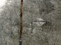 30-l-DSC05910.jpg