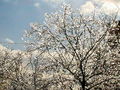 30-l-DSC05912.jpg