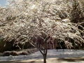 30-l-DSC05914.jpg