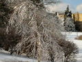 30-l-DSC05915.jpg