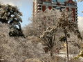 30-l-DSC05916.jpg
