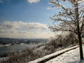30-l-DSC05919.jpg