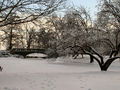 30-l-DSC05921.jpg