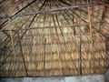 20-e-img_0058.jpg