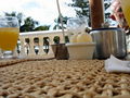 08-A-DSC04730.JPG