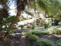 08-A-DSC04733.JPG