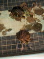 08-A-DSC04735.JPG