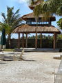 08-A-DSC04738.JPG