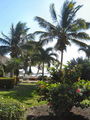 08-A-DSC04741.JPG