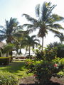 08-A-DSC04742.JPG