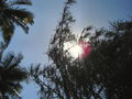 08-A-DSC04743.JPG