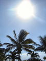 08-A-DSC04744.JPG