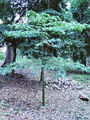 30-Dave0111.JPG