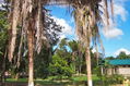 m-100_1045.JPG
