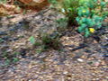 j010.jpg