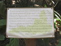 IMGA1289.JPG