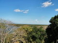 t-100_2839.jpg
