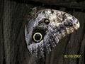 l-100_0676.jpg