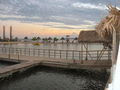 s-IMG_0595.jpg