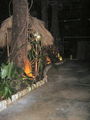 s-IMG_0597.jpg