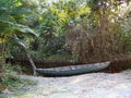 c-100_0876.jpg