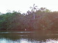 c-100_0882.jpg