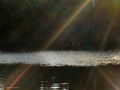 j-DSC05836.jpg