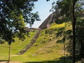 c-100_0917.jpg