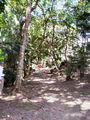 c-100_0928.jpg