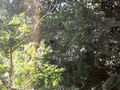 s-IMG_0558.jpg