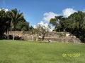 t-100_2662.jpg