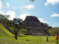 t-100_2664.jpg