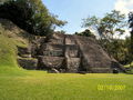 t-100_2665.jpg