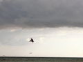 e-img_0038.jpg