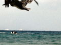 e-img_0042.jpg