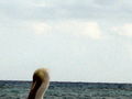 e-img_0043.jpg