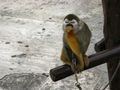 e-img_0044.jpg