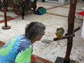e-img_0045.jpg