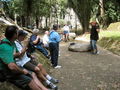 20-s-img_1337.jpg