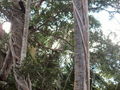20-s-img_1347.jpg