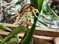 e-img_0203.jpg