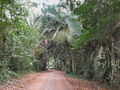 e-img_0210.jpg