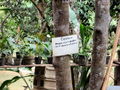 e-img_0215.jpg