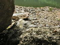 e-img_0216.jpg
