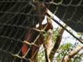 e-img_0217.jpg