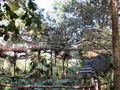 e-img_0219.jpg