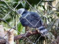 e-img_0220.jpg