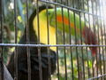 e-img_0245.jpg