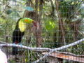 e-img_0246.jpg